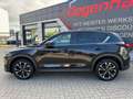 Mazda CX-5 Ad'vantage 2WD LED Navi 360 HUD Schwarz - thumbnail 4