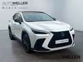 Lexus NX 350h E-FOUR F SPORT *HUD*360Grad*Navi*LED* Blanco - thumbnail 21