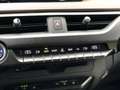 Lexus UX 250h Executive Line | Head Up Display, Leer, Geheugenfu Vert - thumbnail 37