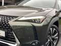 Lexus UX 250h Executive Line | Head Up Display, Leer, Geheugenfu Zöld - thumbnail 12