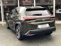 Lexus UX 250h Executive Line | Head Up Display, Leer, Geheugenfu Zielony - thumbnail 13