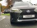 Lexus UX 250h Executive Line | Head Up Display, Leer, Geheugenfu Zöld - thumbnail 10