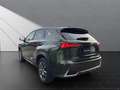 Lexus NX 300 h*EXECUTIVE*4x4*1HD* 15J-GARANTIE* Grün - thumbnail 3