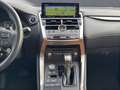 Lexus NX 300 h*EXECUTIVE*4x4*1HD* 15J-GARANTIE* Grün - thumbnail 14