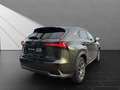 Lexus NX 300 h*EXECUTIVE*4x4*1HD* 15J-GARANTIE* Grün - thumbnail 5