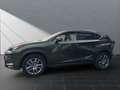Lexus NX 300 h*EXECUTIVE*4x4*1HD* 15J-GARANTIE* Grün - thumbnail 2