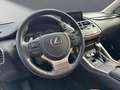 Lexus NX 300 h*EXECUTIVE*4x4*1HD* 15J-GARANTIE* Grün - thumbnail 10