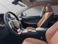 Lexus NX 300 h*EXECUTIVE*4x4*1HD* 15J-GARANTIE* Grün - thumbnail 9