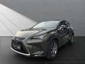 Lexus NX 300 h*EXECUTIVE*4x4*1HD* 15J-GARANTIE* Grün - thumbnail 1