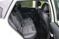 Kia Niro 1.6 Spirit/AUTM./NAVI/LEDER/SHZ/CAM/PDC Blanc - thumbnail 11