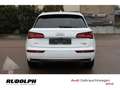 Audi Q5 40 TDI quattro sport ACC LED Navi AHK Rückfahrkam. Weiß - thumbnail 4