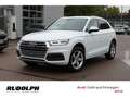Audi Q5 40 TDI quattro sport ACC LED Navi AHK Rückfahrkam. Weiß - thumbnail 1
