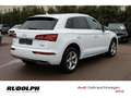 Audi Q5 40 TDI quattro sport ACC LED Navi AHK Rückfahrkam. Weiß - thumbnail 5