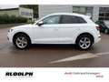 Audi Q5 40 TDI quattro sport ACC LED Navi AHK Rückfahrkam. Weiß - thumbnail 3