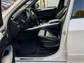 BMW X5 X5 xDrive30d Weiß - thumbnail 16