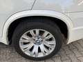 BMW X5 X5 xDrive30d Weiß - thumbnail 9