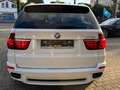 BMW X5 X5 xDrive30d Weiß - thumbnail 13