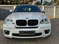 BMW X5 X5 xDrive30d Weiß - thumbnail 3