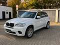 BMW X5 X5 xDrive30d Weiß - thumbnail 4