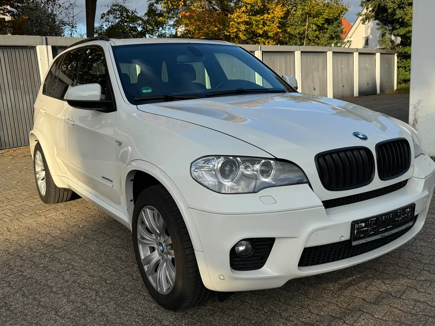 BMW X5 X5 xDrive30d Weiß - 2