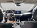 Skoda Octavia Style TDI DSG Argento - thumbnail 11