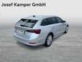 Skoda Octavia Style TDI DSG Argento - thumbnail 4