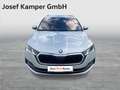 Skoda Octavia Style TDI DSG Argento - thumbnail 7