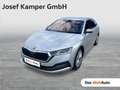 Skoda Octavia Style TDI DSG Argento - thumbnail 1