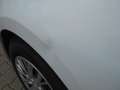 Kia ProCeed / pro_cee'd pro cee'd 1,4 CRDi Cool Weiß - thumbnail 10
