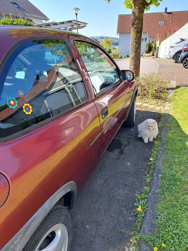 Opel Corsa Atlanta, foto 6