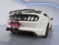 Ford Mustang 5.0 TiVCT V8  GT BullitFastsb. Blanco - thumbnail 17