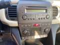 Lancia Ypsilon Lancia Ypsilon 1.2 Oro Schwarz - thumbnail 10