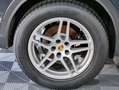 Volkswagen Tiguan Highline 2.0 TDI PORSCHE MACAN FELGEN Grau - thumbnail 5