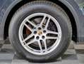 Volkswagen Tiguan Highline 2.0 TDI PORSCHE MACAN FELGEN Grau - thumbnail 4