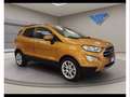 Ford EcoSport 1.0 EcoBoost Titanium Коричневый - thumbnail 11