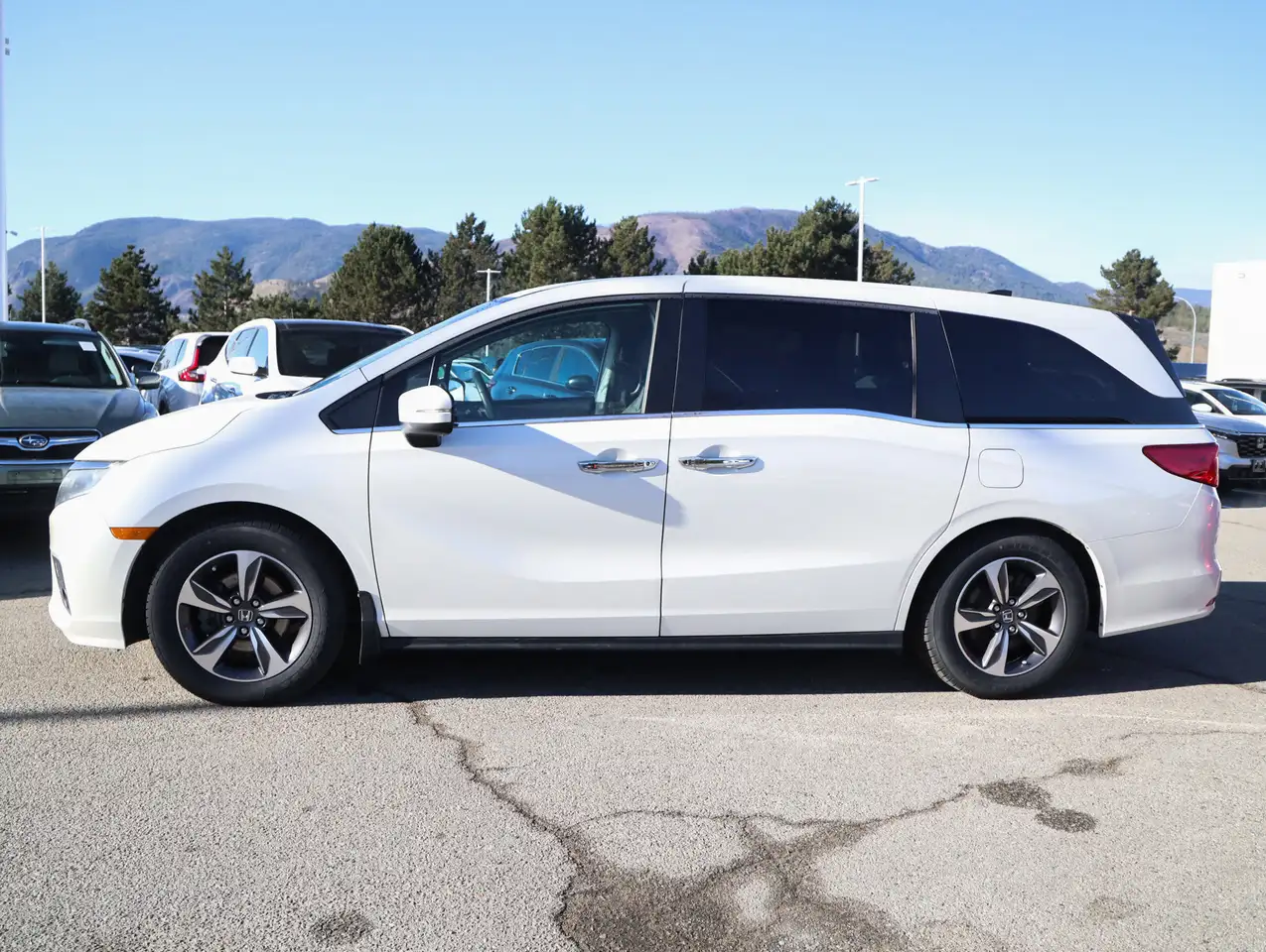 Honda Odyssey снимка Honda Odyssey