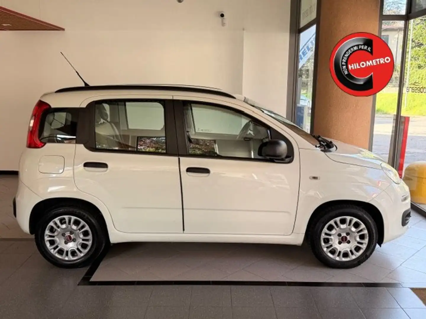 Fiat Panda 1.3 mjt 16v 75cv Blanc - 1