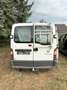 Nissan Interstar Bus L1H1 3,2t kz. 2,5 dCi - thumbnail 3