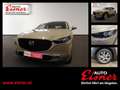Mazda CX-30 G140 AT CENTRE-LINE DESI Abstandstempomat Beige - thumbnail 1