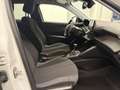 Peugeot 2008 PureTech 100 S&S Style 6-Gang-Manuell Weiß - thumbnail 11