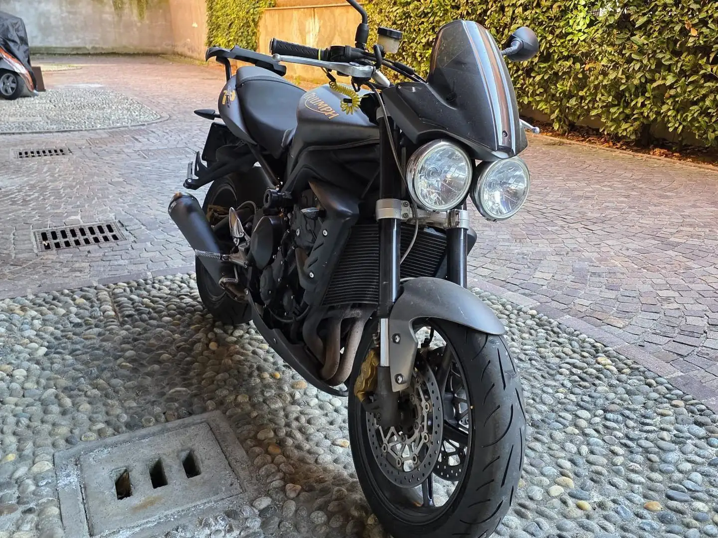 Triumph Street Triple R 2010 Gris - 2