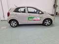 Kia Picanto 1.0 12V 5 porte Urban Beige - thumbnail 8