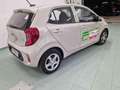Kia Picanto 1.0 12V 5 porte Urban Beige - thumbnail 7