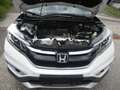 Honda CR-V CR-V 1,6i-DTEC Lifestyle 4WD Aut. Lifestyle Weiß - thumbnail 10
