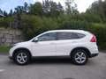 Honda CR-V CR-V 1,6i-DTEC Lifestyle 4WD Aut. Lifestyle Weiß - thumbnail 8