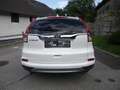Honda CR-V CR-V 1,6i-DTEC Lifestyle 4WD Aut. Lifestyle Weiß - thumbnail 6