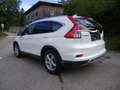Honda CR-V CR-V 1,6i-DTEC Lifestyle 4WD Aut. Lifestyle Weiß - thumbnail 4
