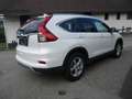 Honda CR-V CR-V 1,6i-DTEC Lifestyle 4WD Aut. Lifestyle Weiß - thumbnail 3