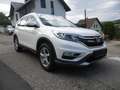 Honda CR-V CR-V 1,6i-DTEC Lifestyle 4WD Aut. Lifestyle Weiß - thumbnail 2