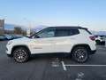 Jeep Compass 1.3 GSE T4 150ch Limited 4x2 BVR6 Wit - thumbnail 5